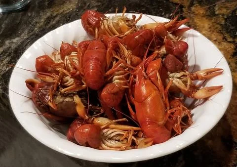 Boiled Crayfish Ready for Serving in White Bowl Foto stock