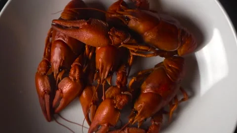 Boiled Crayfish Served on White Plate Top View Seafood Delicacy Stock Footage 330848656