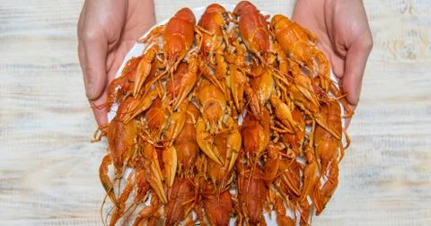 Boiled crayfish on the table. Selective focus. Stock Photos