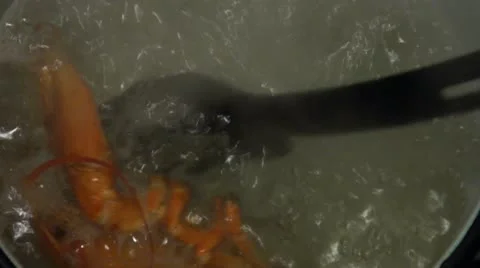 Boiled crayfishe Stock Footage 10827342