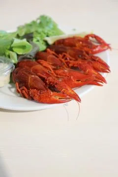 Boiled crayfishes Stock Photos