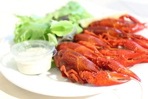 Boiled crayfishes Stock Photos