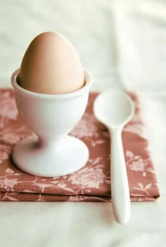 Boiled egg for breakfast Stock Photos