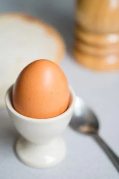 Boiled egg in eggcup with toasts for breakfast Stock Photos