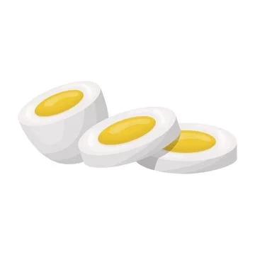 Boiled egg half and sliced. Vector illustration on a white background Stock Illustration