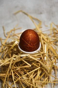 Boiled egg in holder on dark background Stock Photos