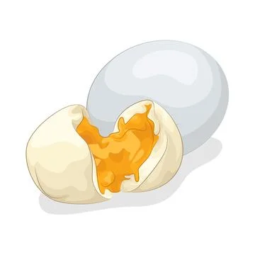 Boiled Egg Illustration Stock Illustration