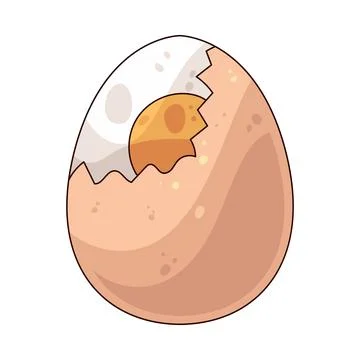 Boiled Egg illustration Stock Illustration