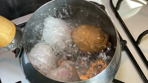 Boiled eggs for breakfast Stock Footage 134011655