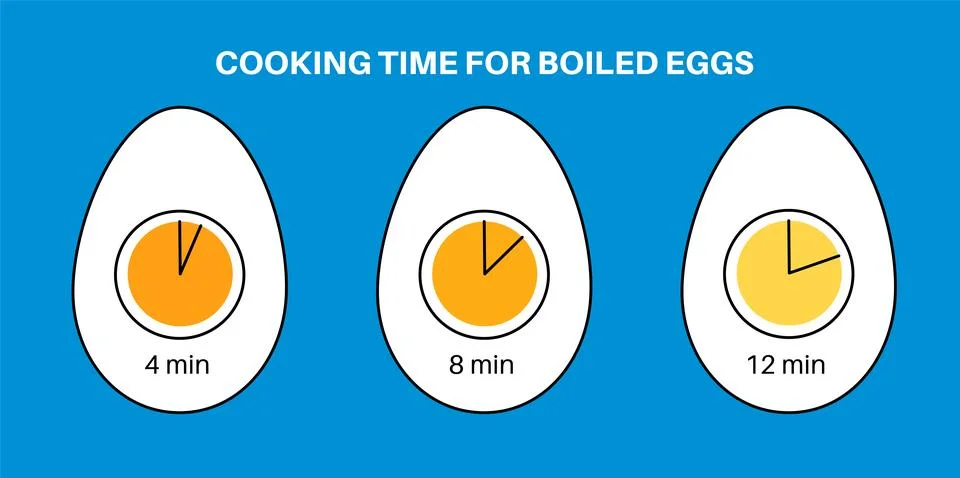 Boiled eggs cooking Stock-Illustration