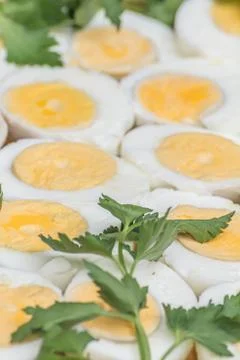 Boiled eggs cut in halves Stock Photos