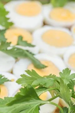 Boiled eggs cut in halves Stock Photos