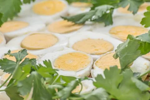 Boiled eggs cut in halves Stock Photos