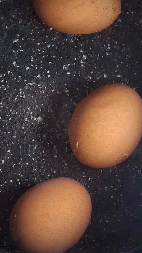 Boiled eggs Stock-Footage 342662636