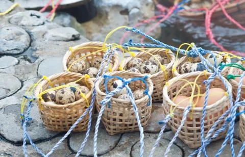 Boiled eggs  at hot spring. Stock Photos