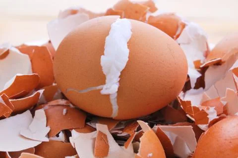 Boiled eggs Stock Photos