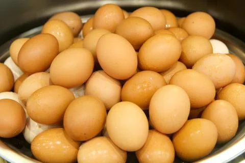 Boiled eggs Stock Photos