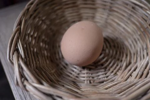 Boiled eggs Stock Photos