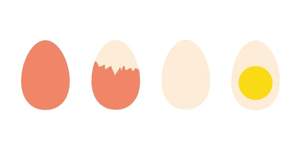 Boiled eggs on white background Stock Illustration