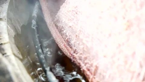 Boiled Stock Footage 161770461