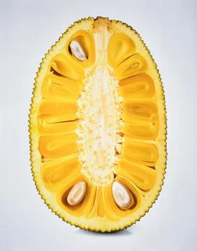 Boiled Jackfruit Seed Isolated on White Background for Premium Tropical Pla.. Stock Photos