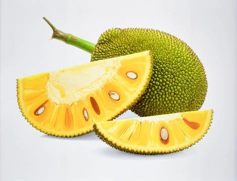 Boiled Jackfruit Seed Isolated on White Background for Premium Tropical Pla.. Stock Photos