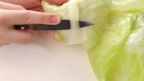 Boiled lettuce leaves. step by step cooking cabbage rolls stuffed Stock Footage 271135594