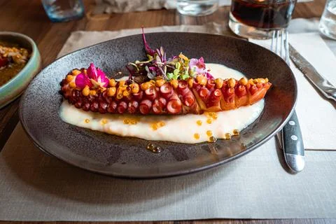 Boiled limb of octopus with tentacles over mushed potatoes Stock Photos
