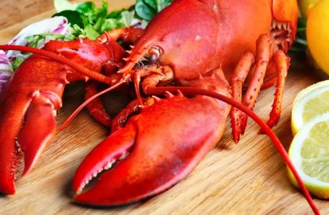 Boiled lobster and lemon Stock Photos