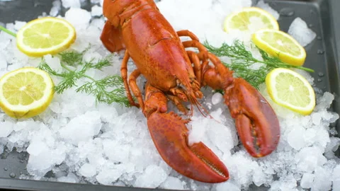 Boiled lobster on ice with lemon 動画素材 148533539