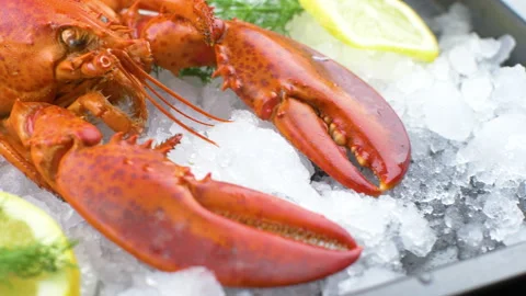 Boiled lobster on ice with lemon Stock Footage 148533545