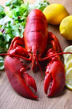 Boiled lobster Stock Photos