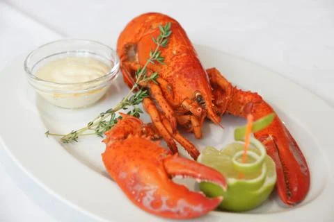 Boiled lobster Stock Photos