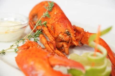 Boiled lobster Stock Photos