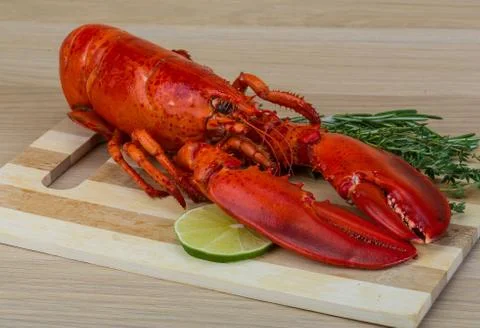 Boiled lobster Stock Photos
