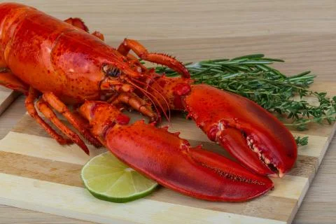 Boiled lobster Stock Photos