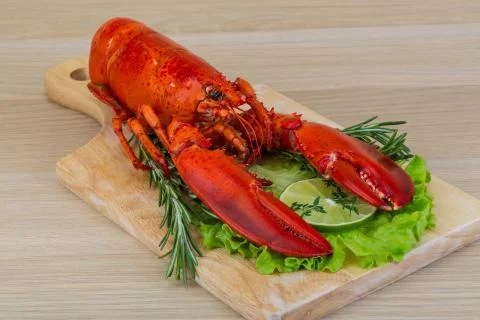 Boiled lobster Stock Photos