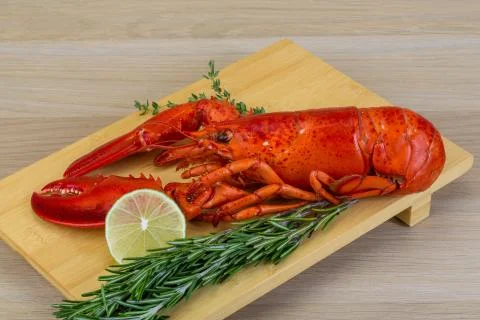 Boiled lobster Stock Photos