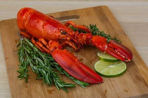Boiled lobster Stock Photos