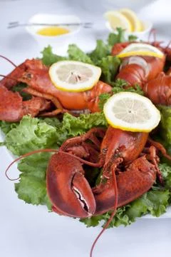 Boiled lobster Stock Photos
