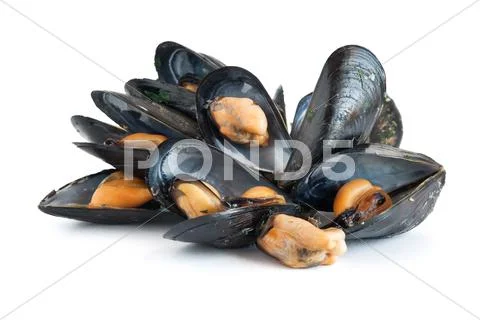 Boiled mussels Stock-Fotos
