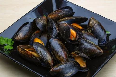 Boiled mussels Stock Photos