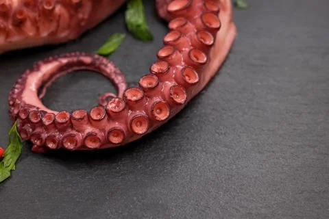 Boiled octopus on black stone background close-up. Stock Photos