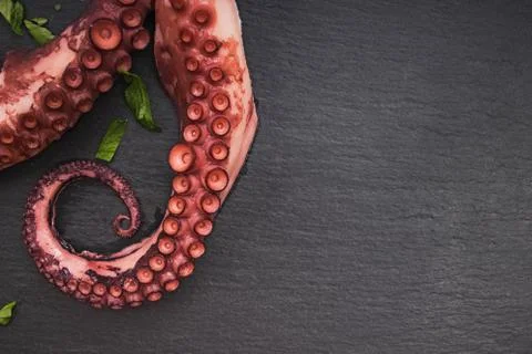 Boiled octopus on black stone background close-up. Stock Photos