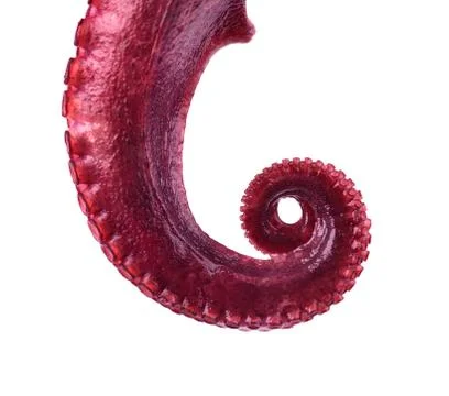 Boiled octopus isolated on white background. Boiled octopus tentacles isolated. Stock Photos