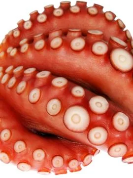 Boiled octopus Stock Photos