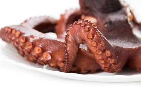 Boiled octopus Stock Photos