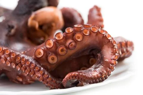 Boiled octopus Stock Photos