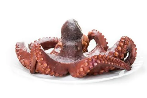 Boiled octopus Stock Photos