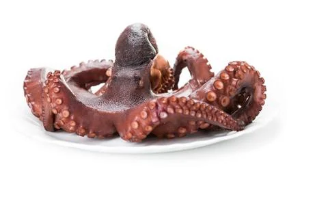 Boiled octopus Stock Photos